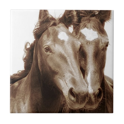 Paardenportret III Tegeltje (Voorkant)