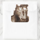 Paardenportret III Vierkante Sticker (Tas)