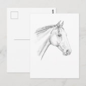 Paardenportret in potlood briefkaart (Voorkant / Achterkant)