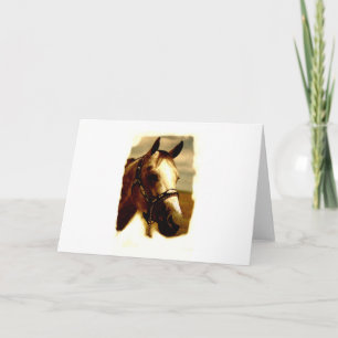 Paardenportret Kaart
