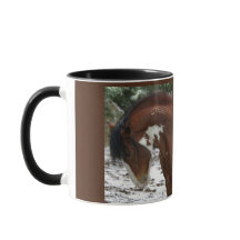 Paardenportret met naam