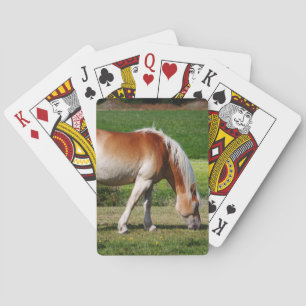 Paardenportret Pokerkaarten