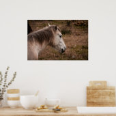 Paardenportret Poster (Keuken)
