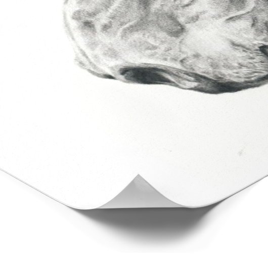 Paardenportret poster in grafietpotloodtekening (Hoek)