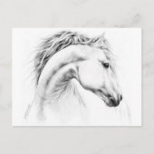 Paardenportret potlood paardenkunst briefkaart (Voorkant)