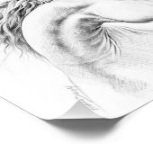 Paardenportret potlood paardenkunst foto afdruk (Hoek)