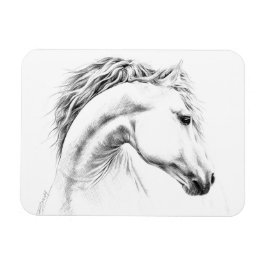 Paardenportret potlood paardenkunst magneet