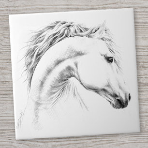 Paardenportret potlood paardenkunst tegeltje