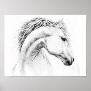 Paardenportret Potlood tekening Paardensport kunst Poster