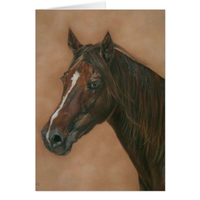 paardenportret van kastanjebruin paard (Voorkant)
