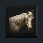 Paardenportret VI Cadeaudoosje<br><div class="desc">Dieren</div>