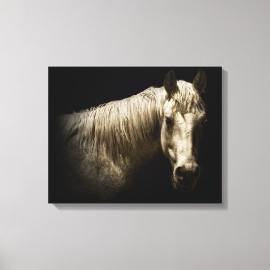 Paardenportret VI Canvas Afdruk (Voorkant)