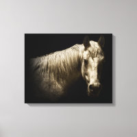 Paardenportret VI