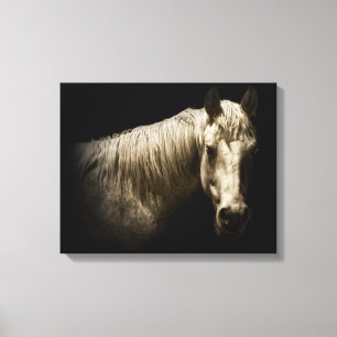 Paardenportret VI Canvas Afdruk