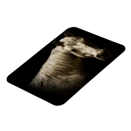 Paardenportret VI Magneet (Linkerzijde)