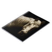 Paardenportret VI Notitieboek (Linkerzijde)