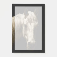 Paardenportret VI