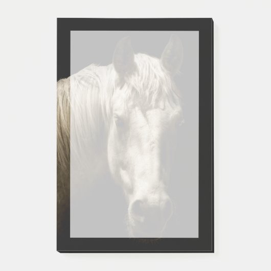 Paardenportret VI Post-it® Notes (Voorkant)