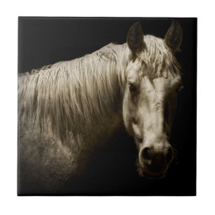 Paardenportret VI Tegeltje