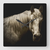 Paardenportret VI