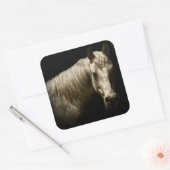 Paardenportret VI Vierkante Sticker (Envelop)