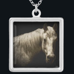 Paardenportret VI Zilver Vergulden Ketting<br><div class="desc">Dieren</div>
