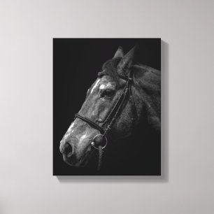 Paardenportret - Wrapped Canvas Afdruk