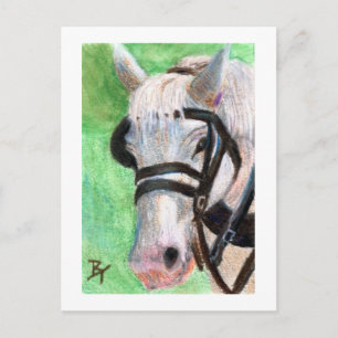 PaardenportretBriefkaart Briefkaart