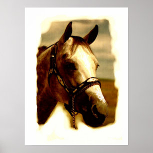 Paardenportretkunstwerk Poster