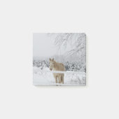 paardenpost post-it® notes (Voorkant)