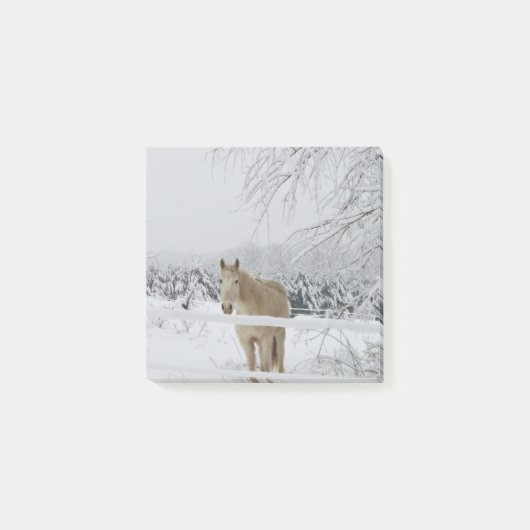 paardenpost post-it® notes (Voorkant)