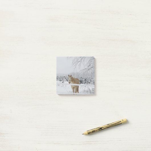 paardenpost post-it® notes (Op bureau)