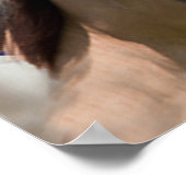 PaardenPoster Amerikaanse vlag Poster (Hoek)