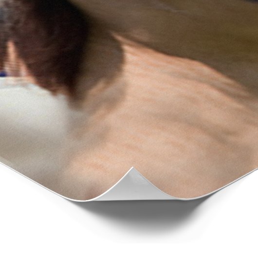 PaardenPoster Amerikaanse vlag Poster (Hoek)