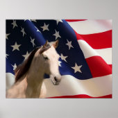 PaardenPoster Amerikaanse vlag Poster (Voorkant)