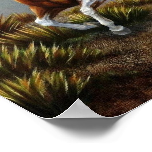 PaardenPoster - Doodse geslepen woestijn Poster (Hoek)