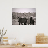 Paardenposter Fotografie Poster (Keuken)