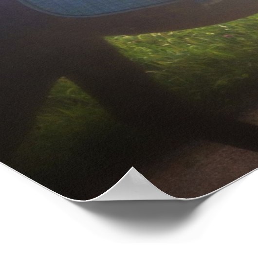 PaardenPoster "Ga je eigen weg" Poster (Hoek)