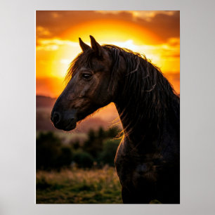 Paardenposter Paardensport Kunst Poster