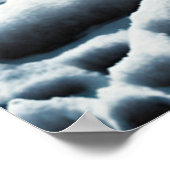 Paardenposter Poster (Hoek)