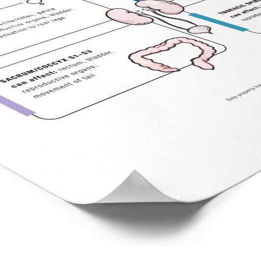 Paardenposter Poster (Hoek)