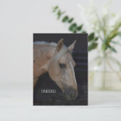 Paardenpostkaart van het Palomino-paard Banner Briefkaart (Staand voorkant)