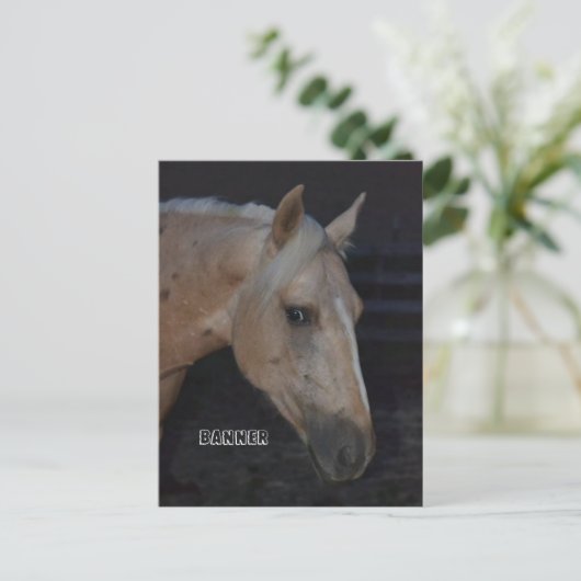 Paardenpostkaart van het Palomino-paard Banner Briefkaart (Staand voorkant)