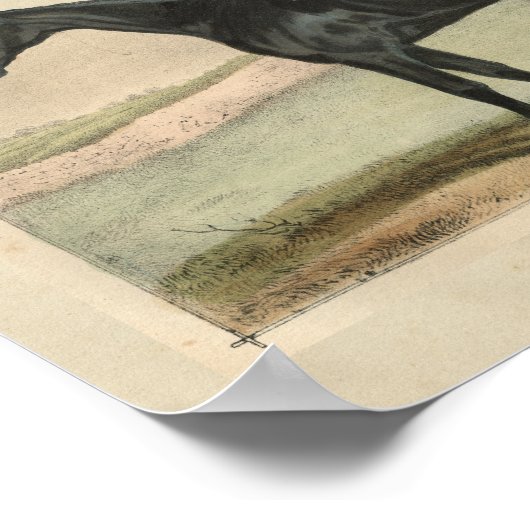  paardenprinter 1873 Glanzend Poster (Hoek)