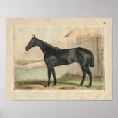  paardenprinter 1873 Glanzend Poster (Voorkant)