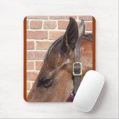 paardenprofiel muismat (Met muis)