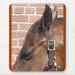 paardenprofiel muismat