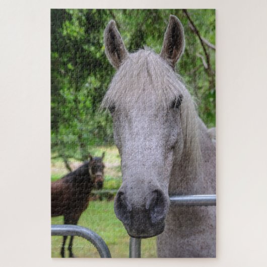 Paardenpuzzel Legpuzzel (Verticaal)