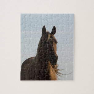Paardenpuzzel Legpuzzel