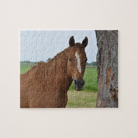 Paardenpuzzel Legpuzzel (Horizontaal)